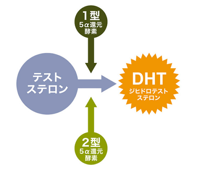 DHTが作られるまで 図