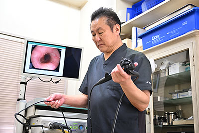 経鼻内視鏡 写真